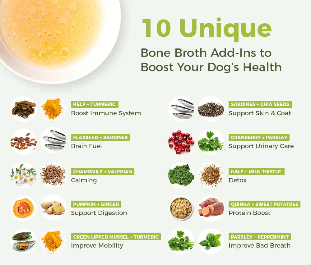 Bone Broth for Dogs: Homemade Recipes to Boost Your Dog's Health